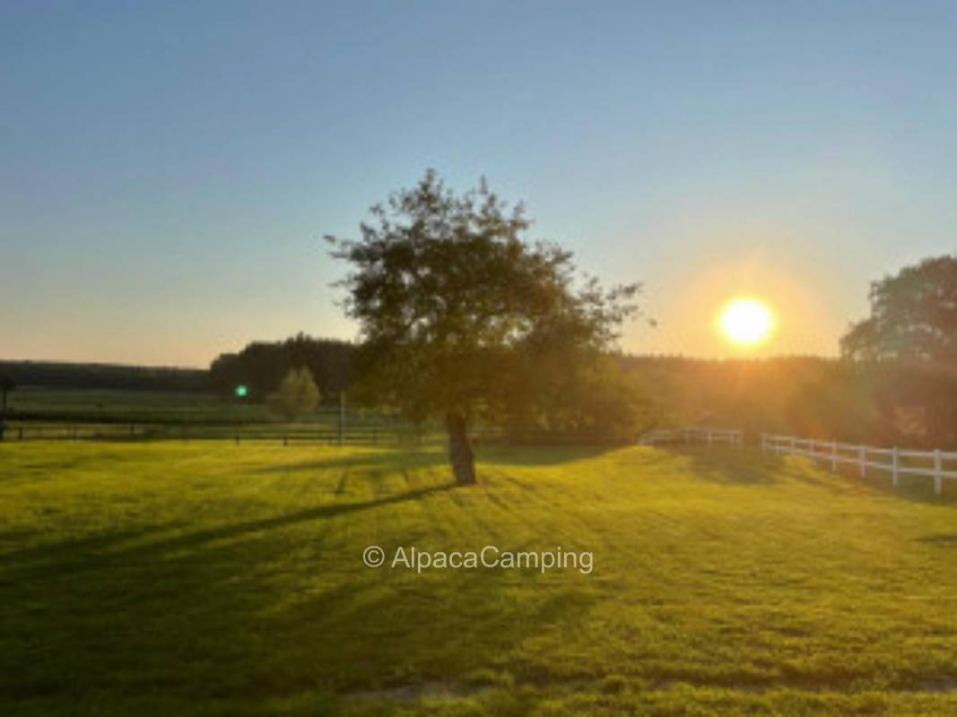 Pitch "Schnackenhörner View" #2