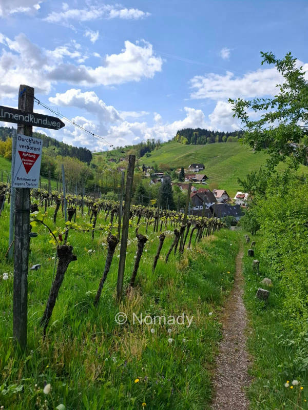 Idylle im Rebland "Alde Gott"