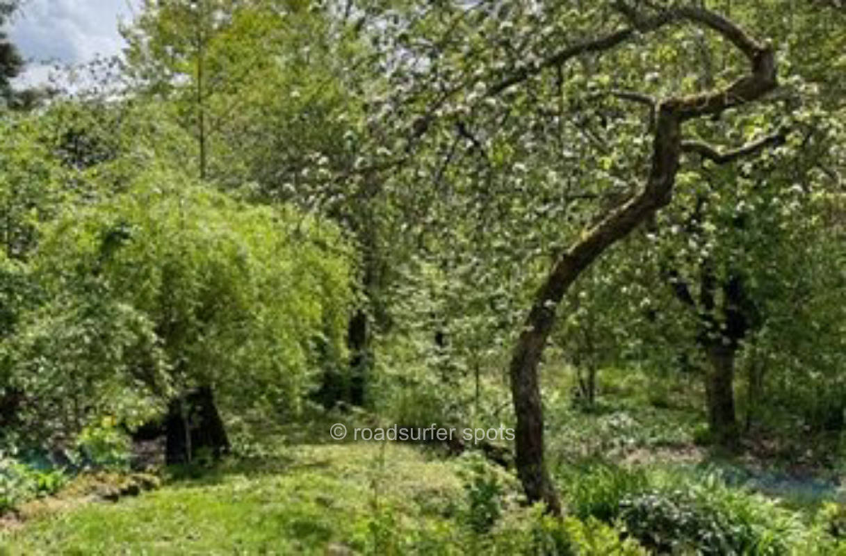 Campingoase in ruhigem Garten