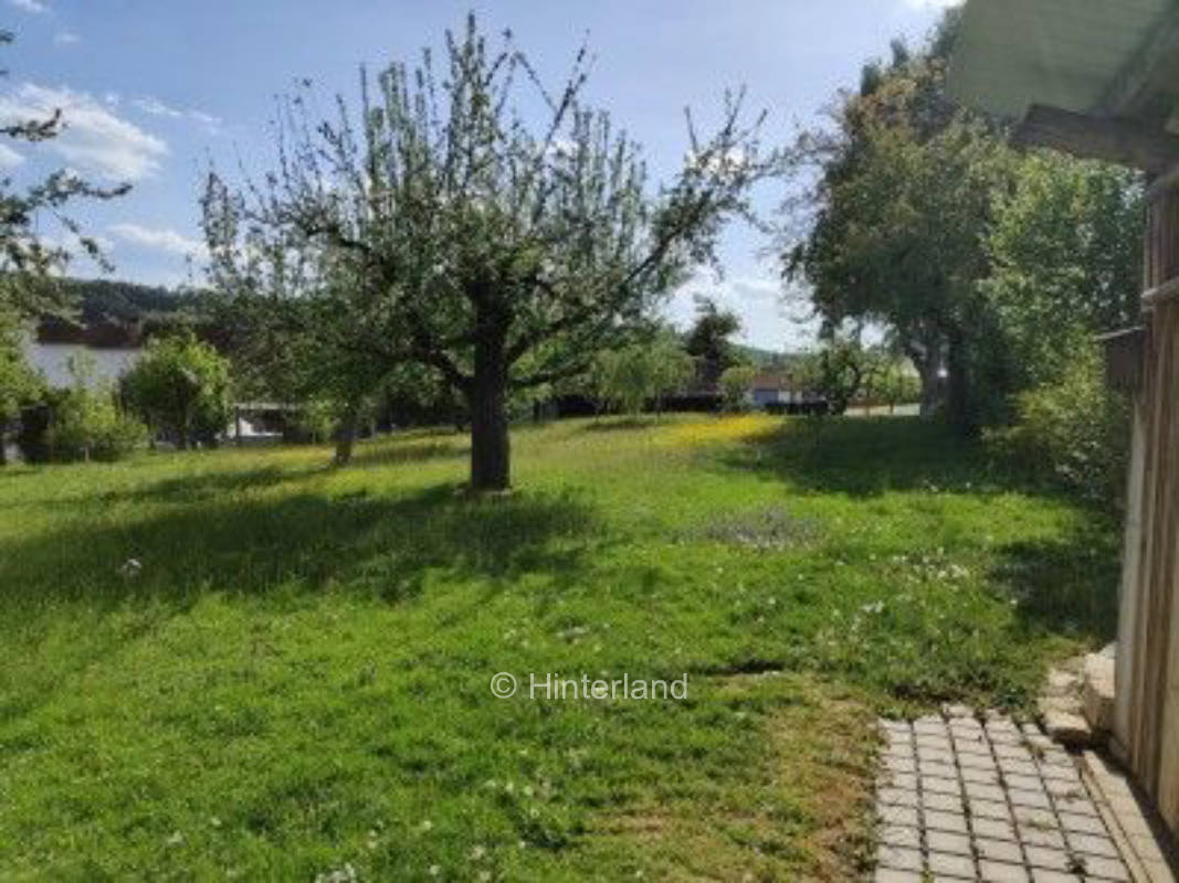 Unterm Sternenhimmel im Obstgarten 