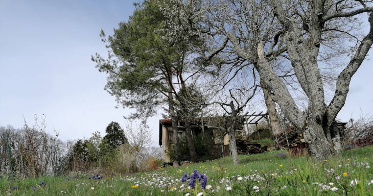 Wo's Blümle wächst - in den Leutersteiner Höfen