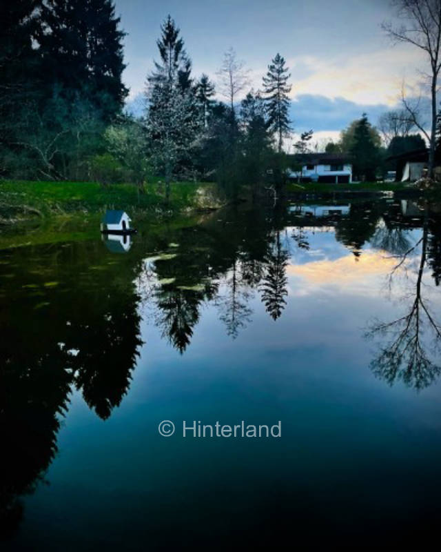Idylle pur auf kleinem Pferdehof