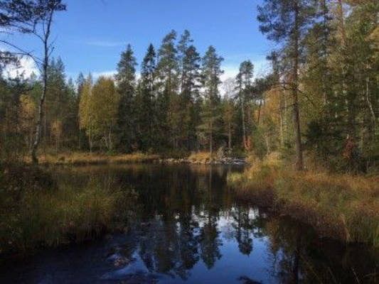 Sweden up close in the Bergslagen region