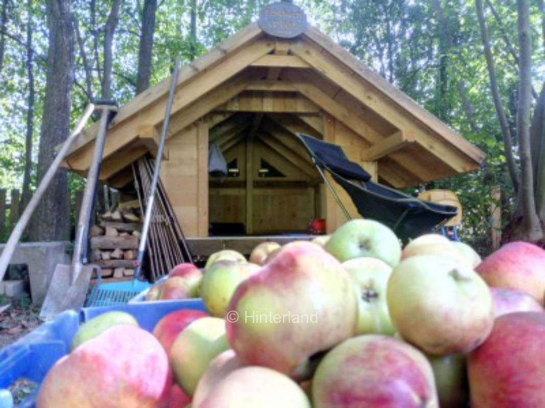 Campground on a meadow orchard at a creek