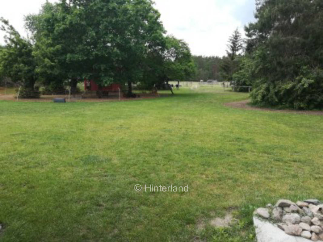 Stellplatz unter Bäumen in der Nähe von Tieren