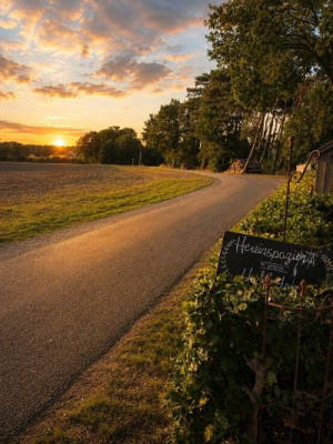 Naturnaher Stellplatz am Hofladen direkt am Wald