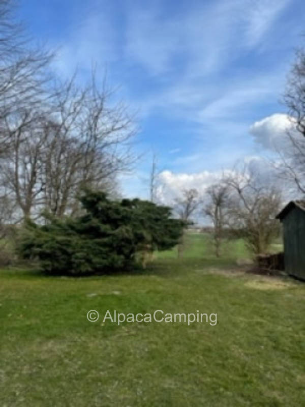 Camping am Guthof #3