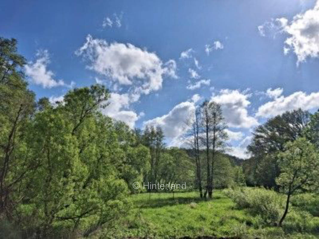 Stellplatz am kleinen Saynbach