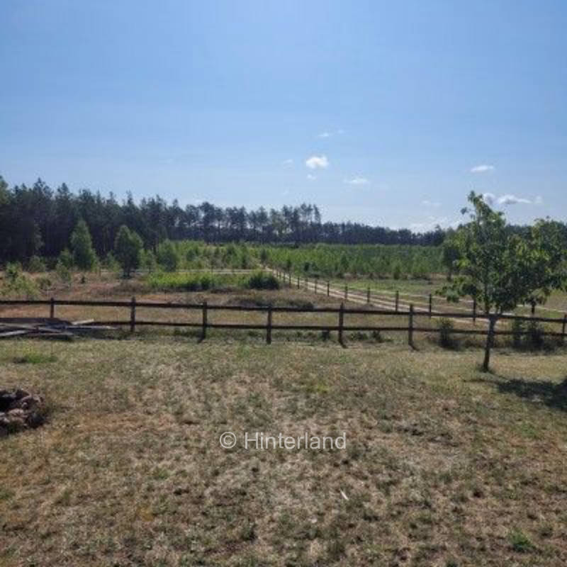 Die Natur in Polen (Pommern) genießen 