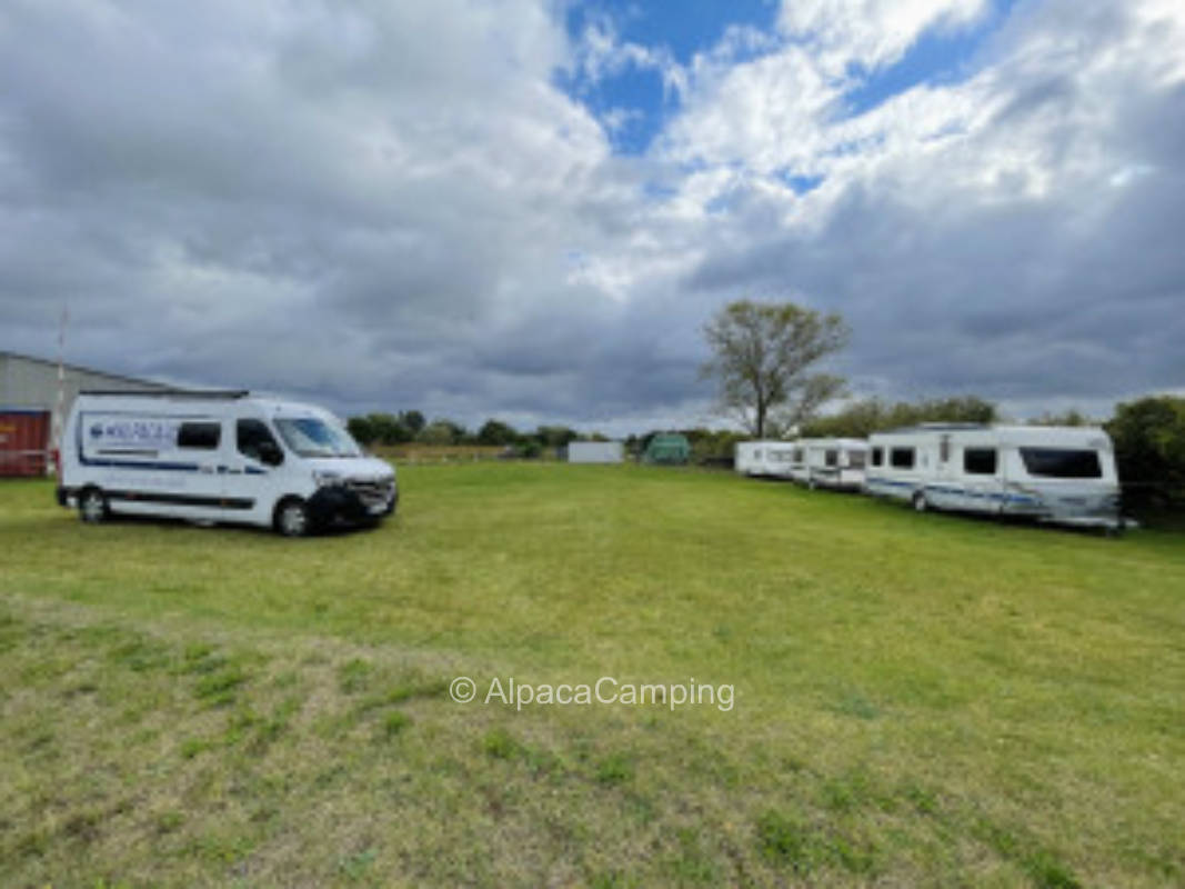 Pitch near Neustadt an der Weinstraße #5