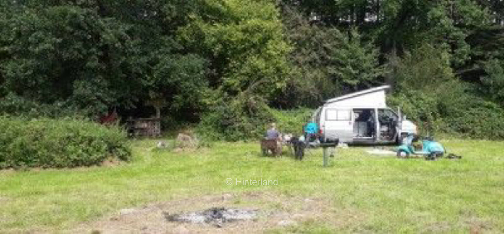 Abgelegene Wiese am Wäldchen in Alleinlage