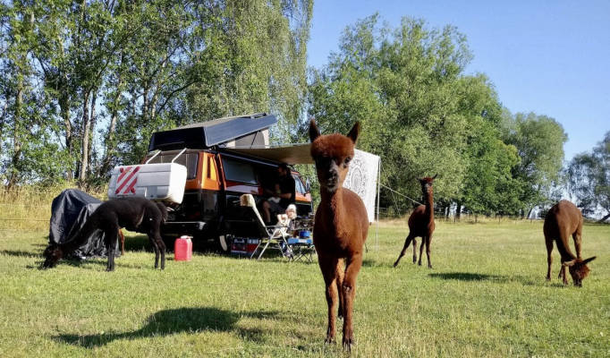 Wohnwagen & Wohnmobilstellplatz in Jessen