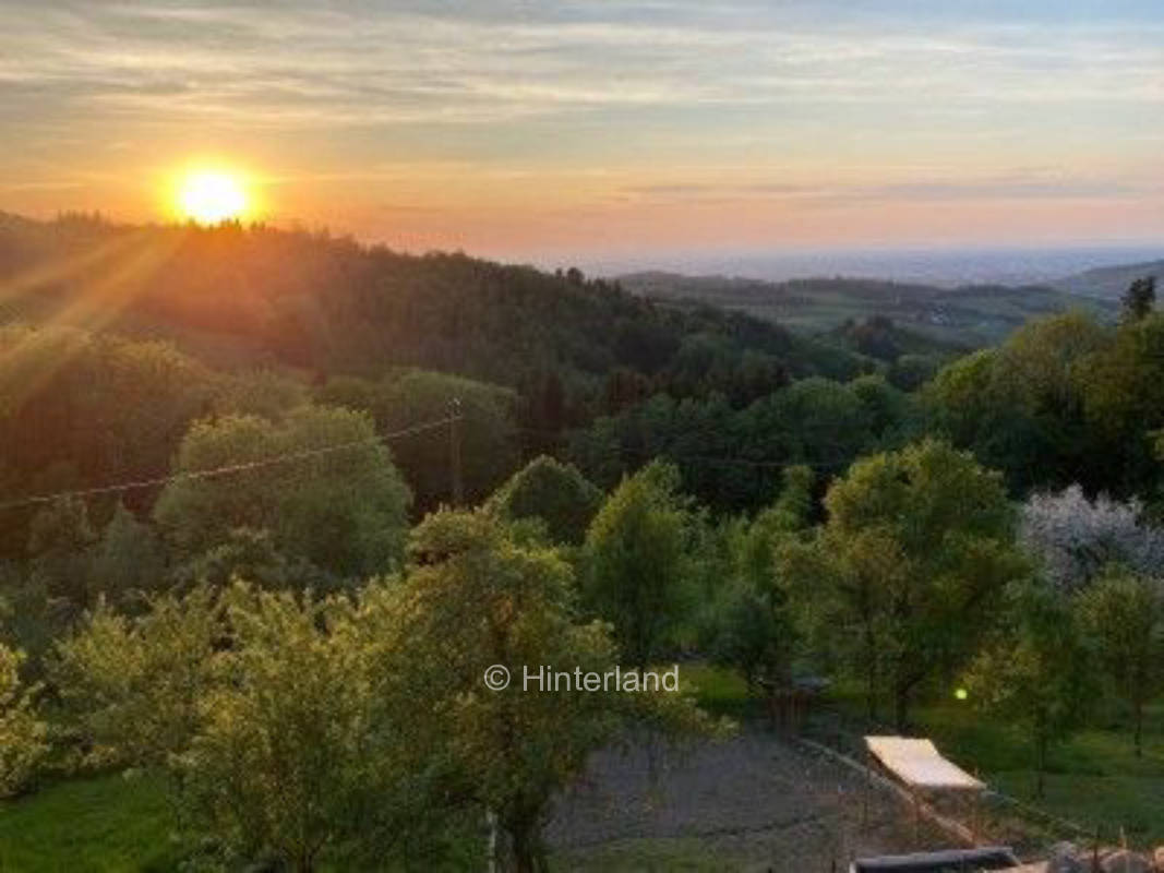 Rheintalpanorama - Stellplatz mit Weitblick