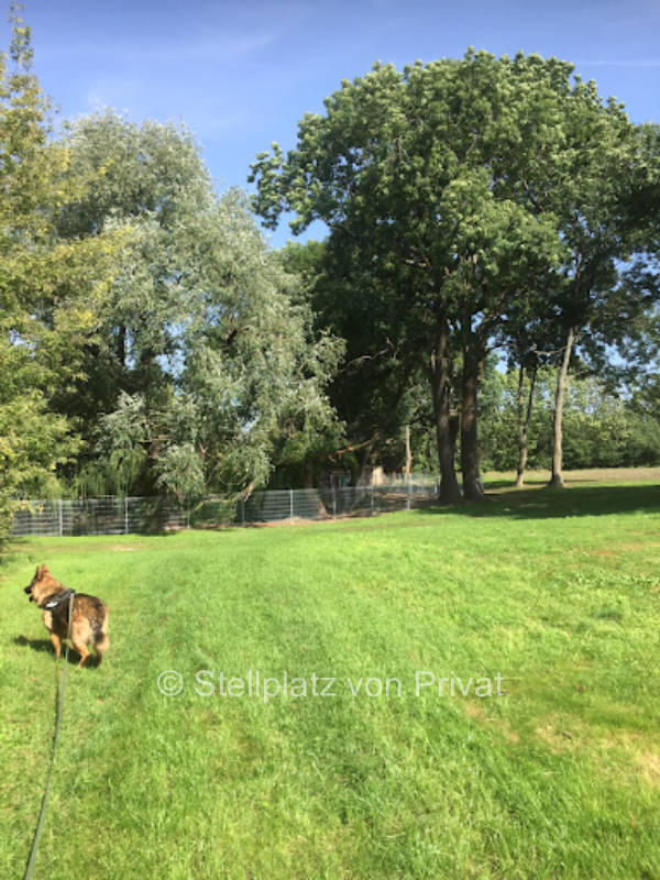 A9/A14 Wiedemar idyllisch, eingezäunt, Videoüberwachung
