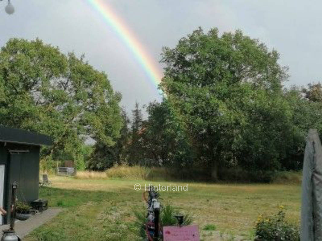 Unter den Eichen in Ostfriesland 