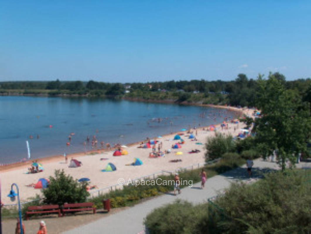 In Buchwalde, 500m vom Senftenberger See #2