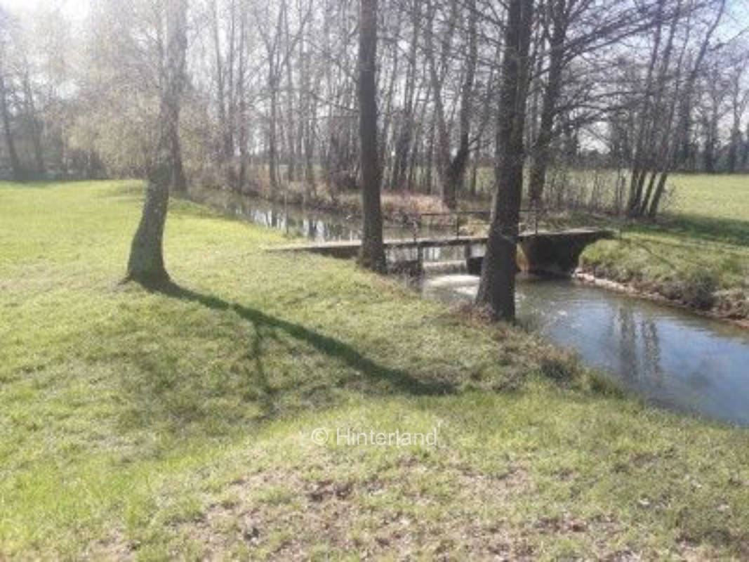 Spreewaldbienenhof