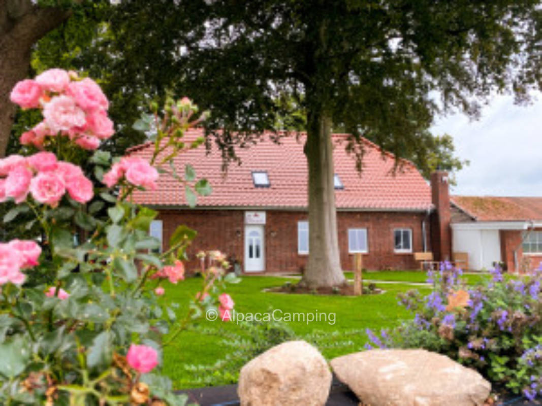 Camping on family Christmas tree farm #1