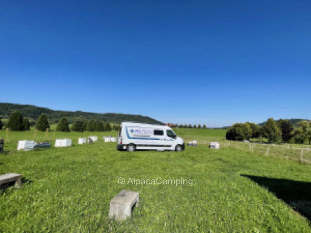 On the edge of the forest with a far view #2