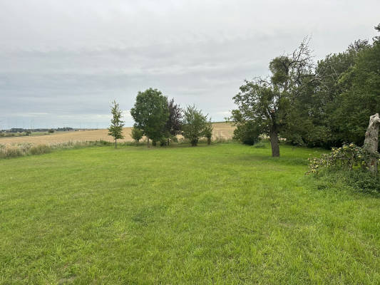 Idyllic apple orchard with sauna