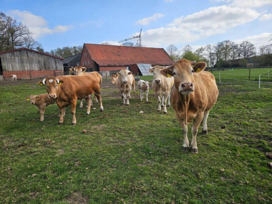 Campspace in Vreden, Nordrhein-Westfalen