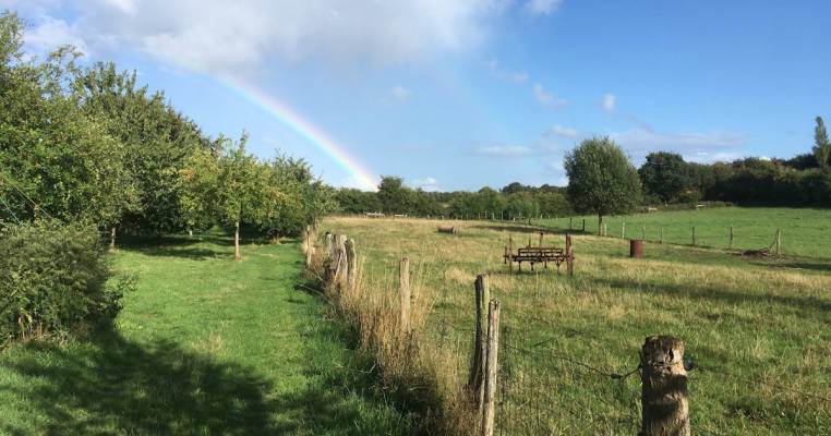 Streuobstwiese in Angeln