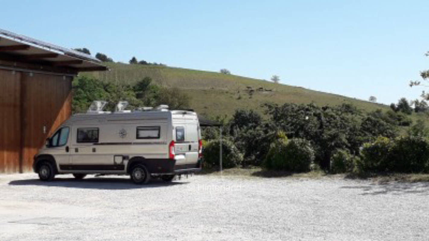 Idyllic pitch at the organic winegrower