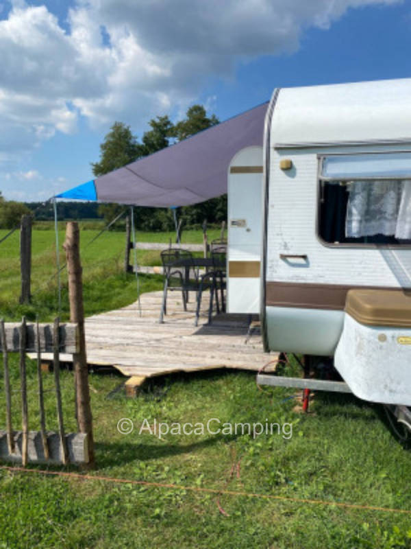 Farm Holidays - Hermit Farm #1