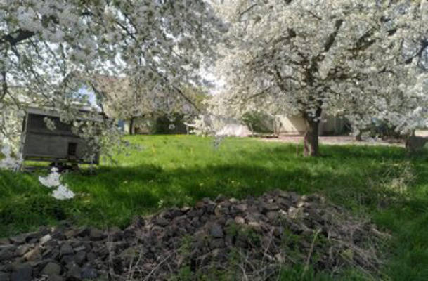 Camping Allmendewiese am Ortsrand von Holzhausen