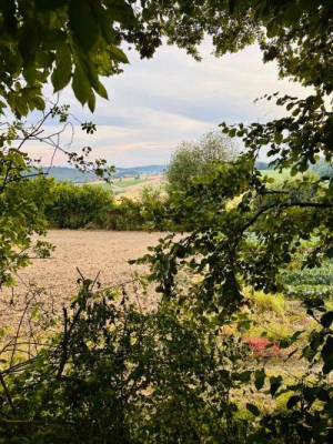 Camping on the organic farm in Gutenecker Valley