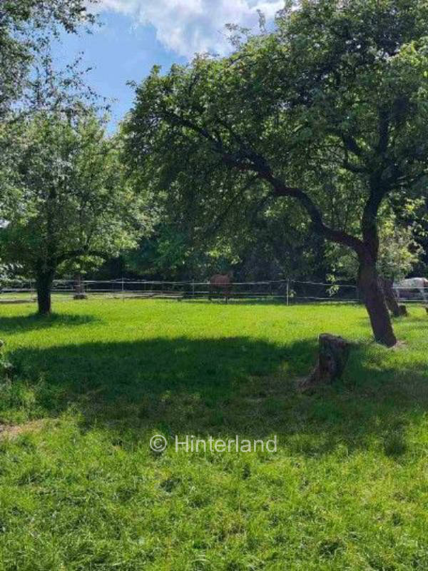 Waldfarm am Natura 2000