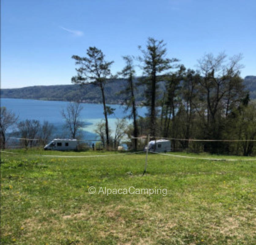 Lake Constance view alone in nature #2