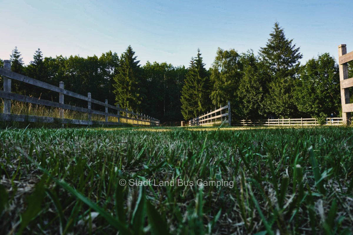 Wüsthof Dammerstorf 2