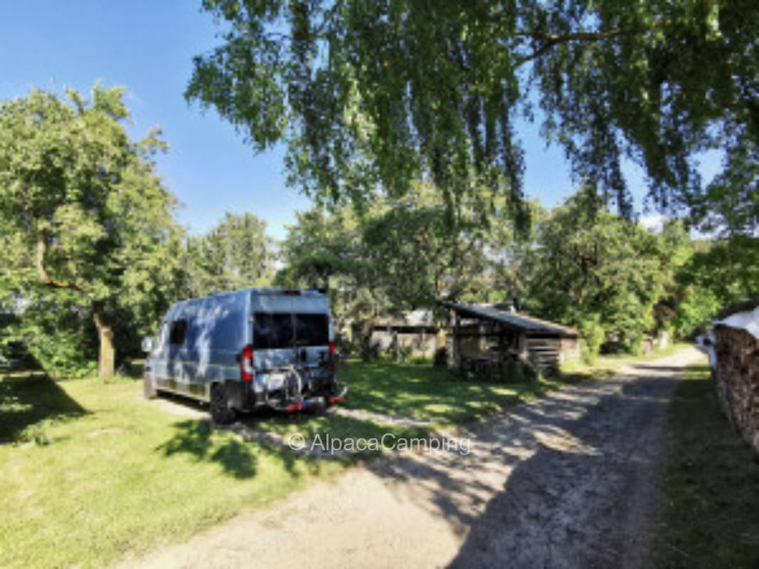 Obstbaumgarten hinterm Haus im Fichtelgebirge #2