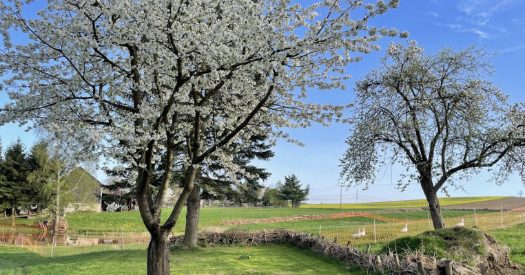 Naturstellplatz auf dem Bauernhof | FamLa-Hof