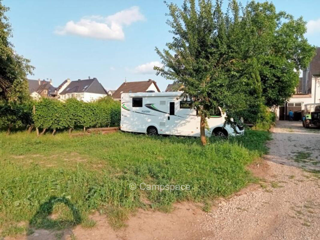 Ruhiger Stellplatz beim Weingut