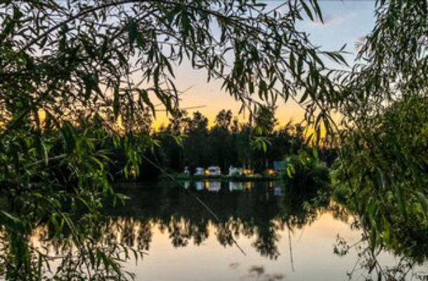 Wiesner's pond management