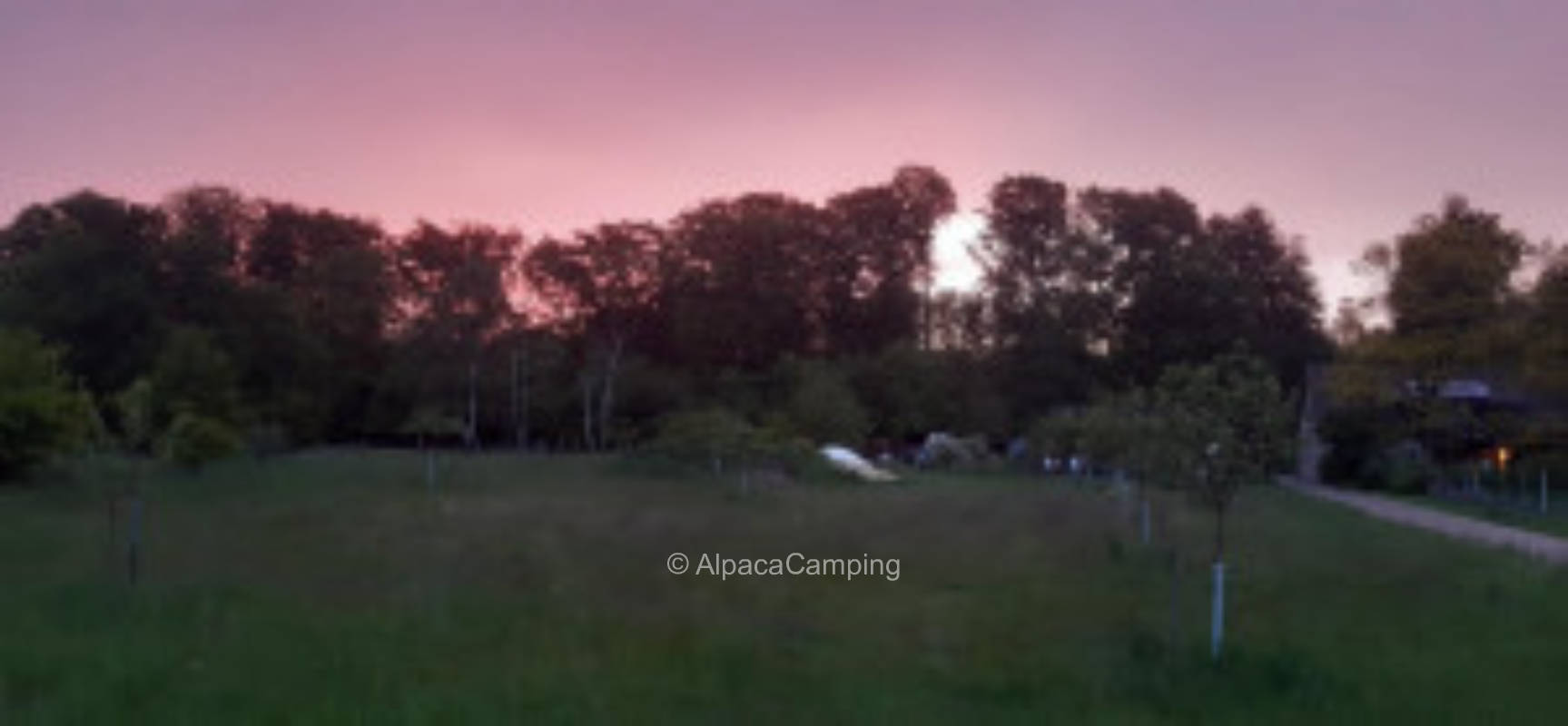 Welcome to no man's land #2