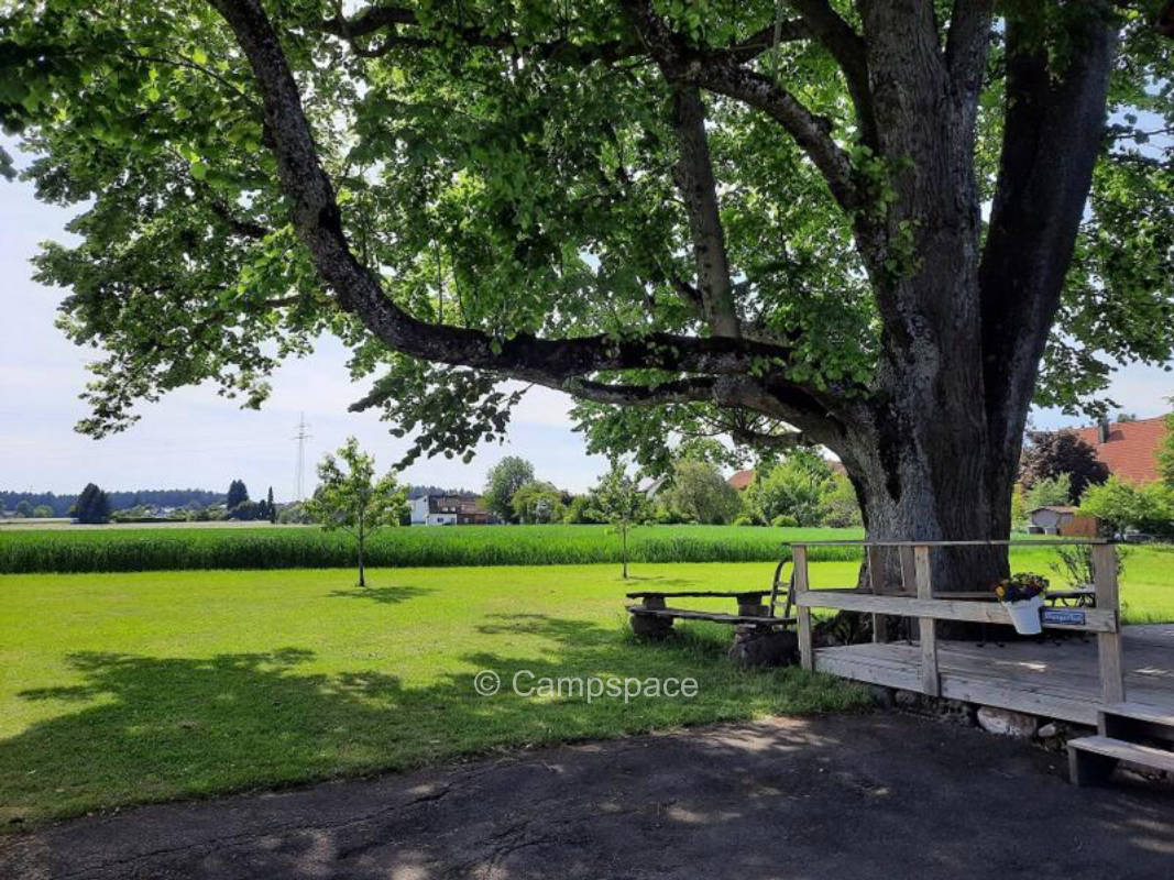 Wohnmobilstellplatz an der "Alten Hafnerei"