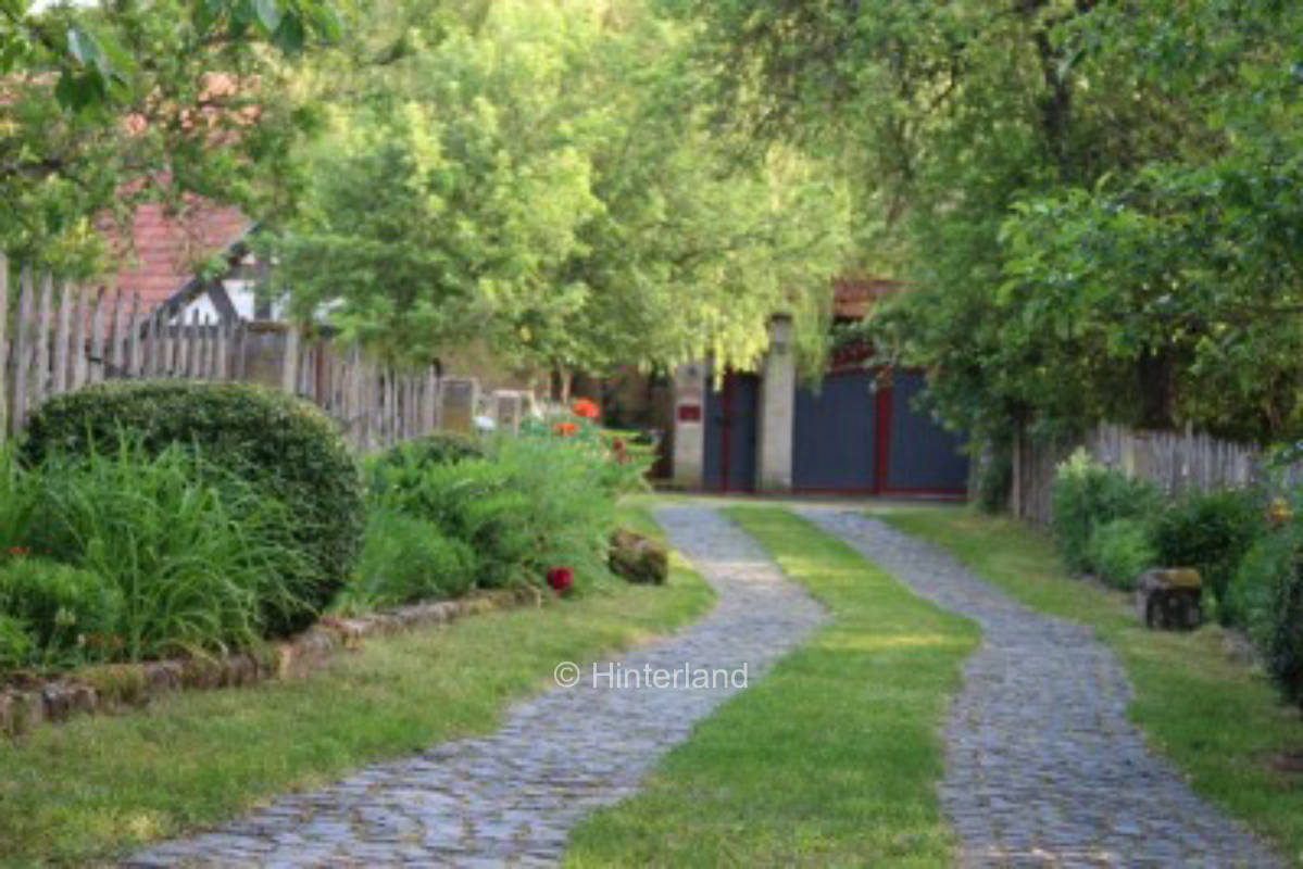 Zelten mit den Schafen #1