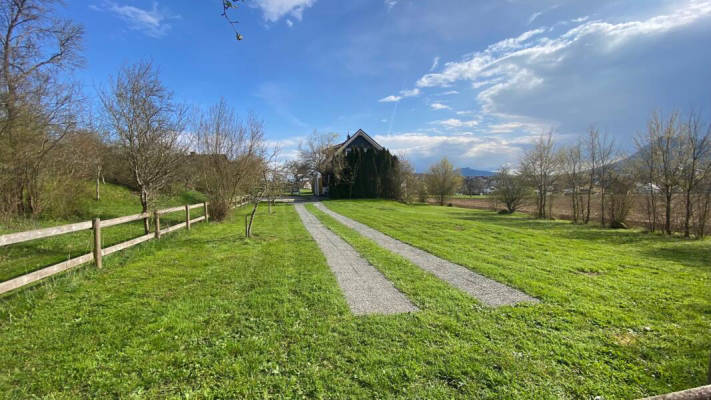Sonnenwiese mit Ausblick (Campspace 4294)