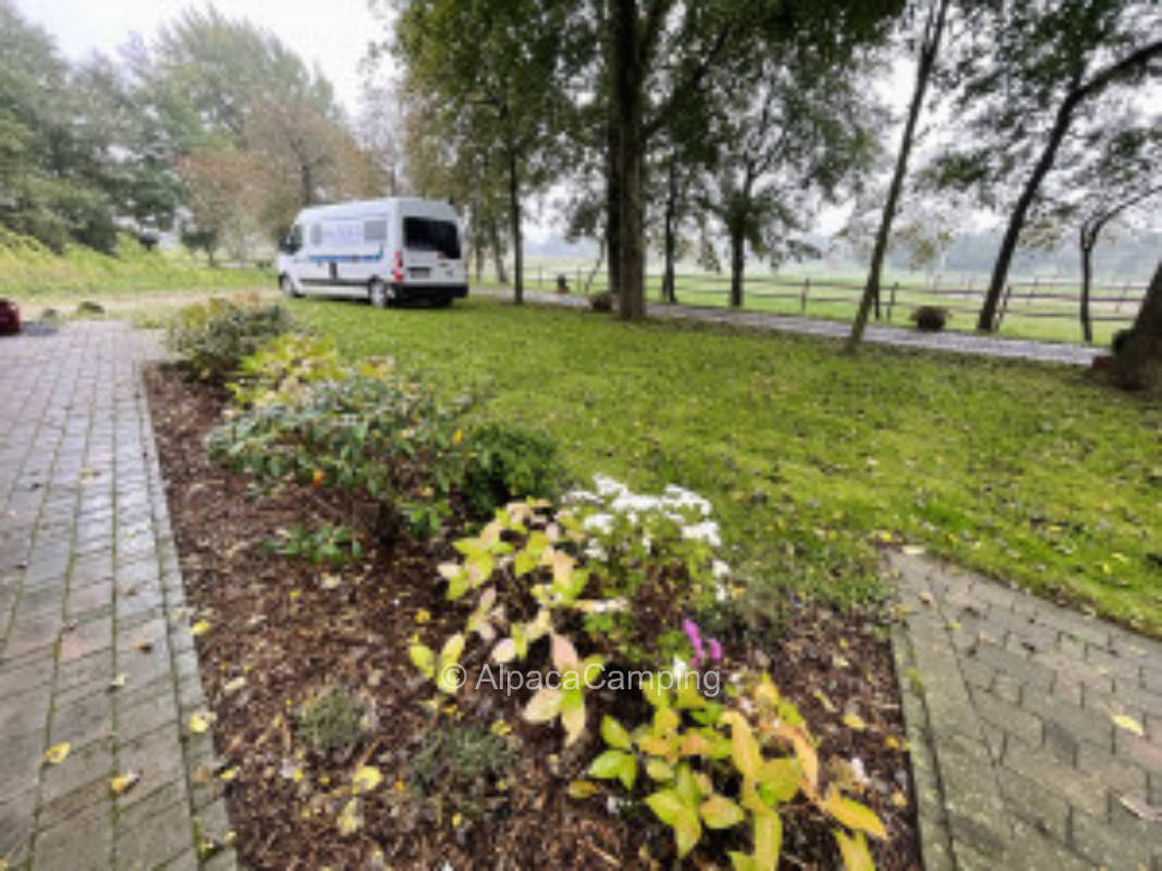 Horse farm North Frisia #4