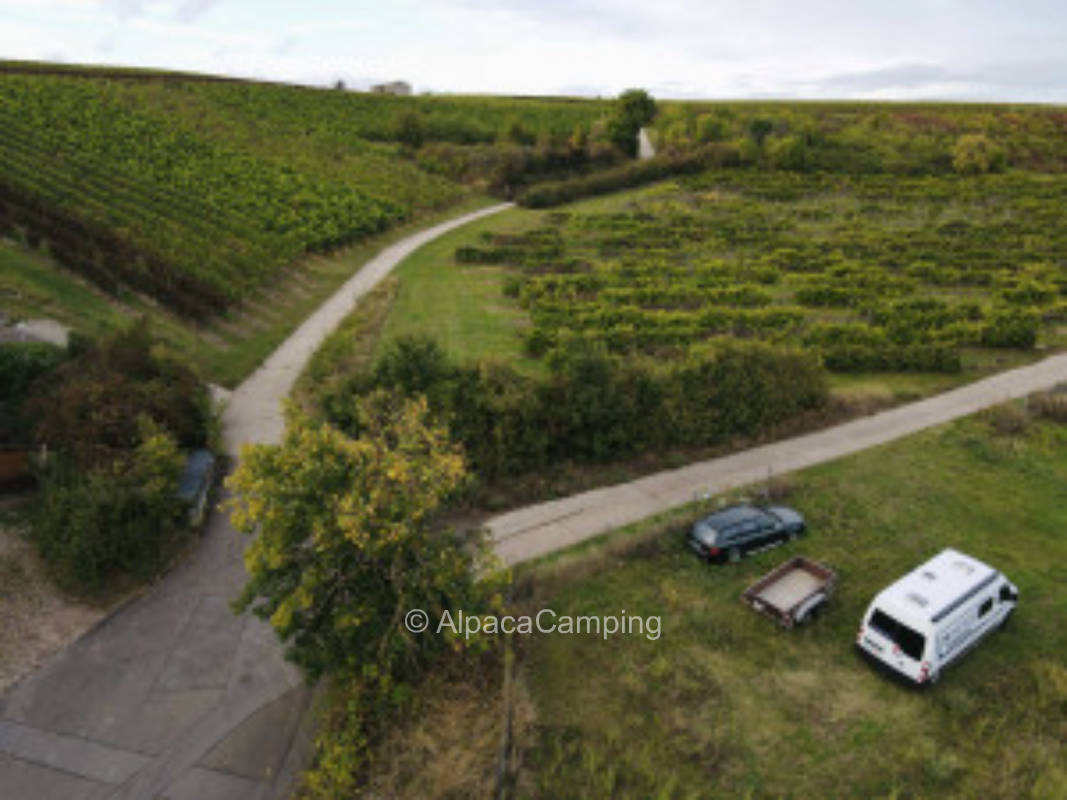 Campen in Mölsheim #1