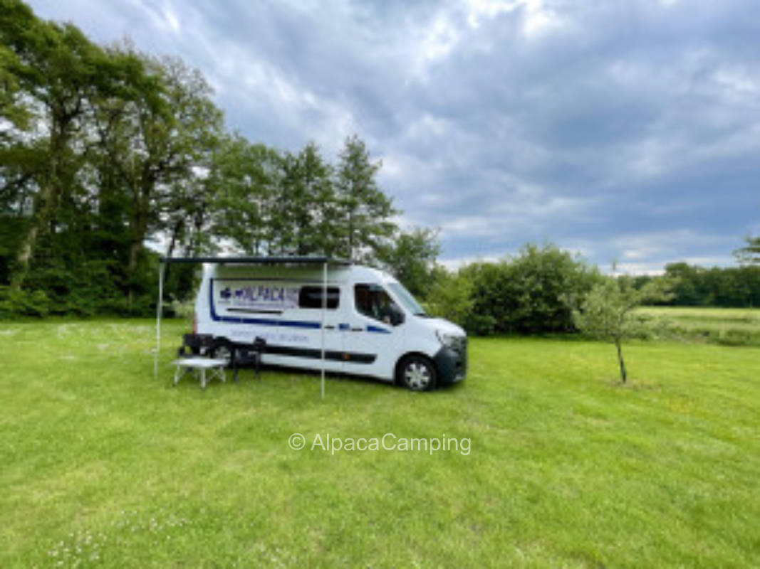 Ruhige Wiese mit angrenzender Streuobstwiese und Bachlauf #2