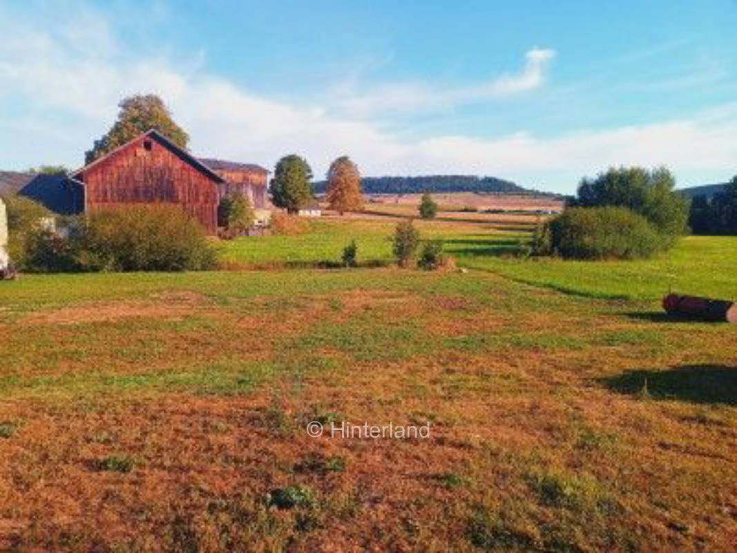 Familien-Wiese: Pony, Spielplatz & Ruhe