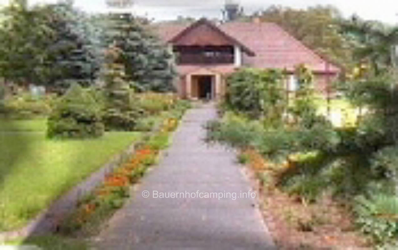 Vacation paradise forest idyll