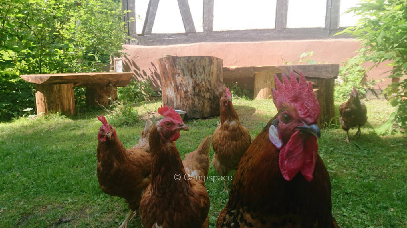 Campingplatz in Herzberg, Niedersachsen