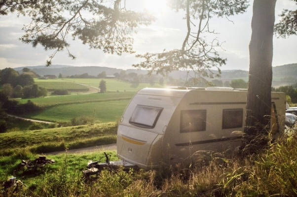AlpacaCamping 1616