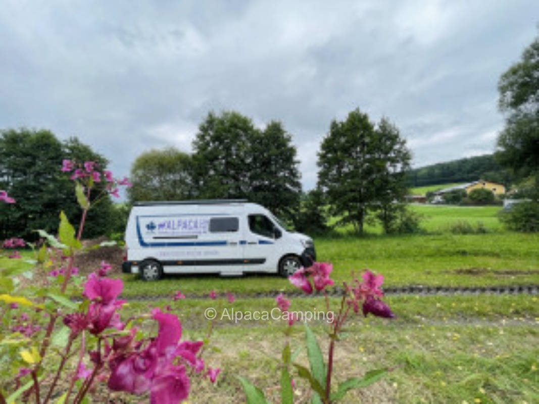 Bayrischer Wald-Sumava-Böhmerwald #3