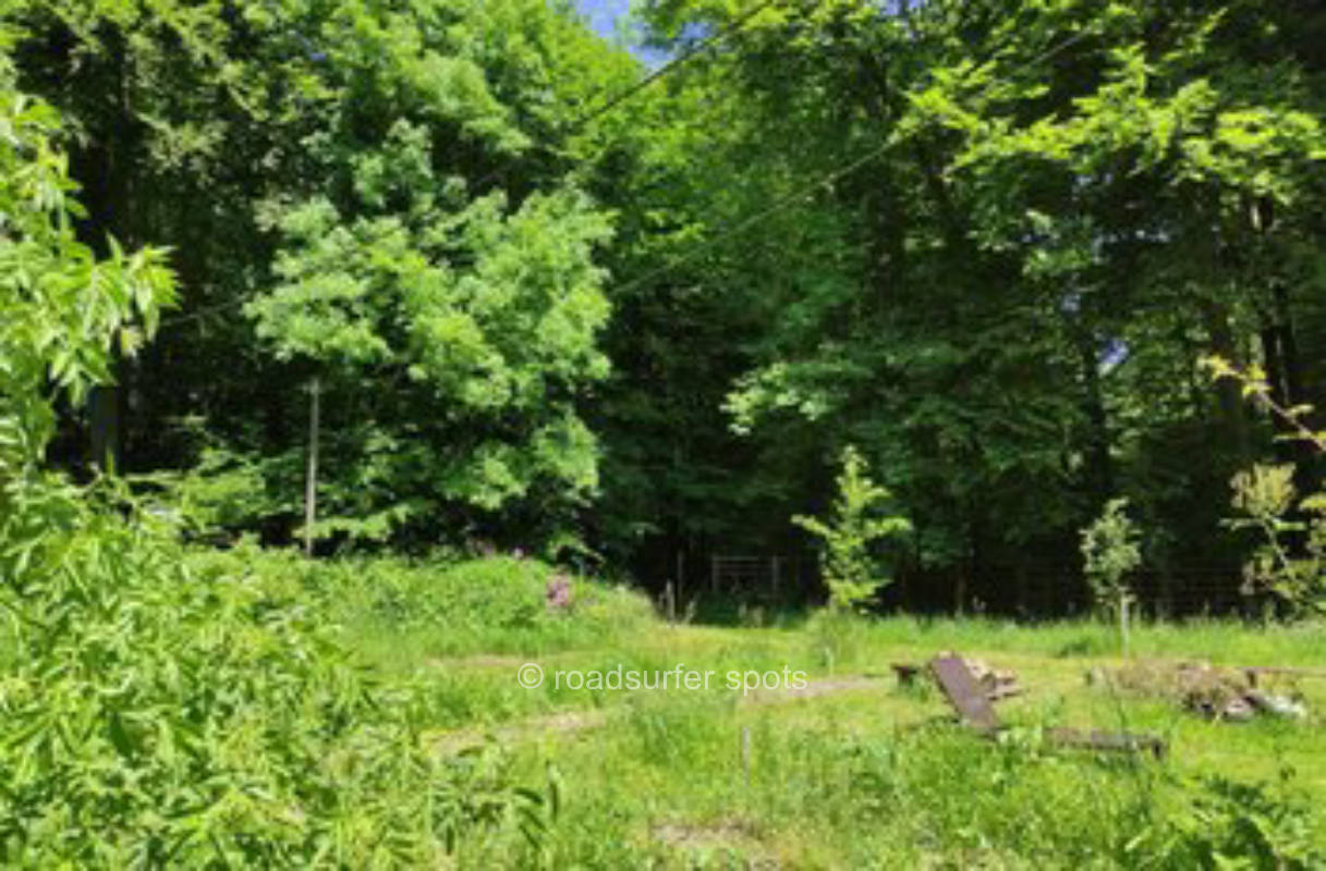 Natur-Camping am historischen Waldhaus